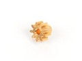 ピニオンギア9T(1.5mm hole,0.5M)(Super CP)
